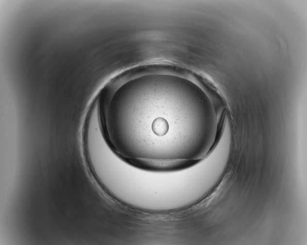 X0000093421422200710190956