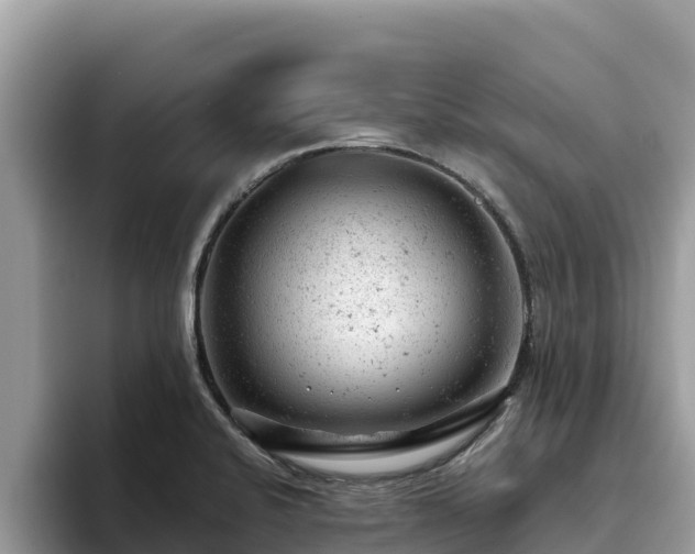 X0000093421424200710190956