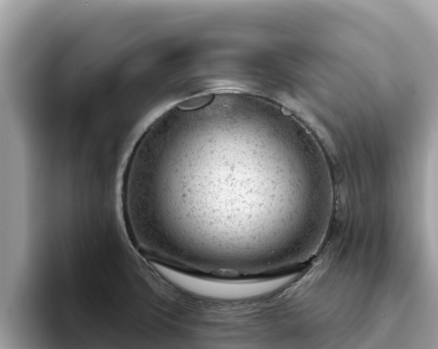 X0000093421427200710190956