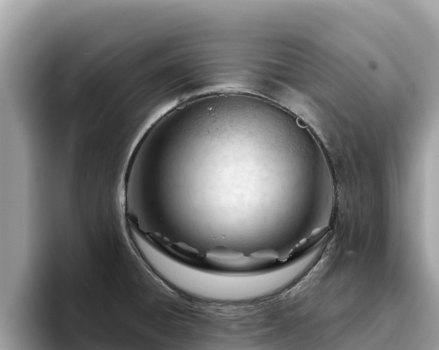 X0000093421428200710190956