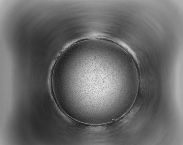 X0000093421429200710190956