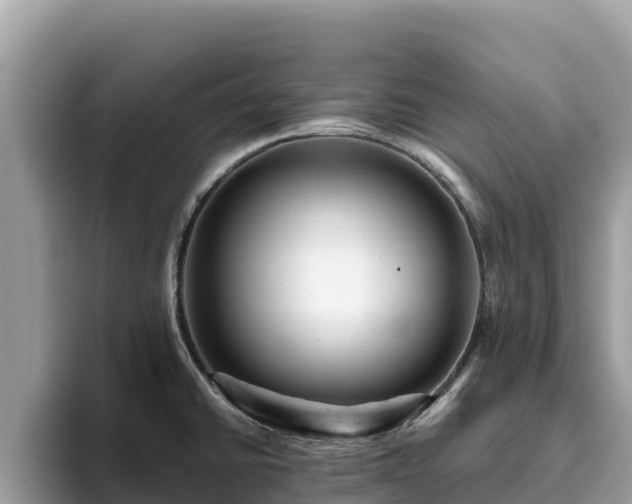X0000093421430200710190956