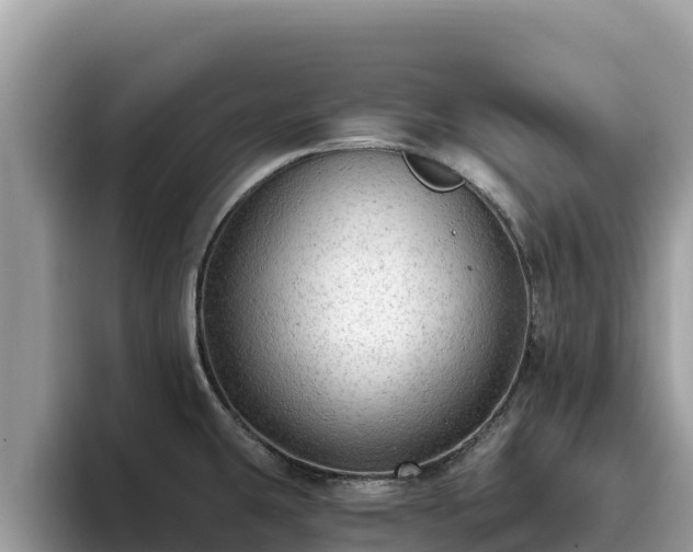 X0000093421431200710190956