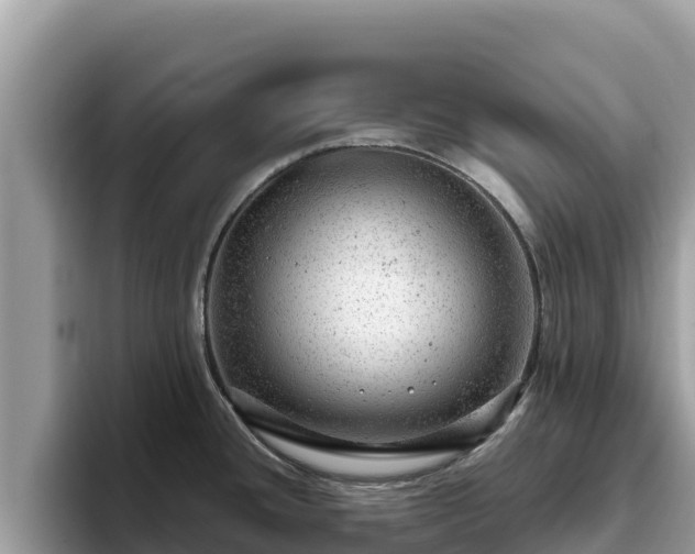 X0000093421436200710190956