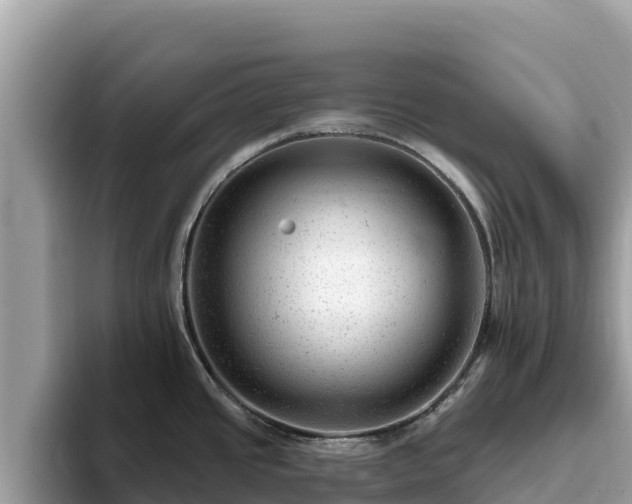X0000093421437200710190956