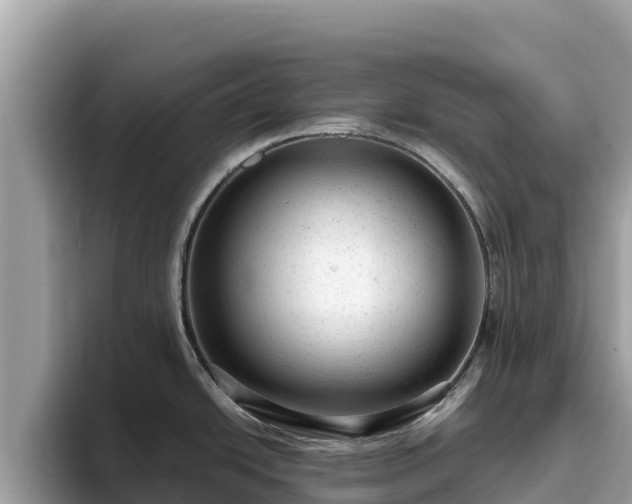 X0000093421438200710190956