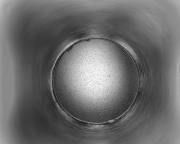 X0000093421439200710190956