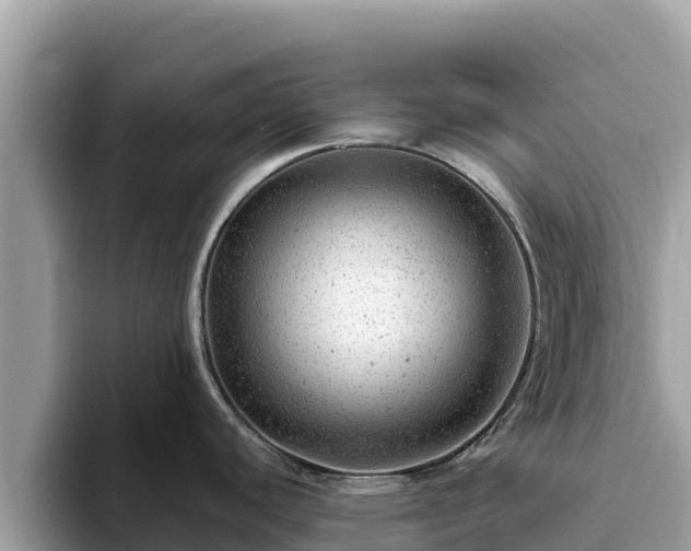 X0000093421440200710190956