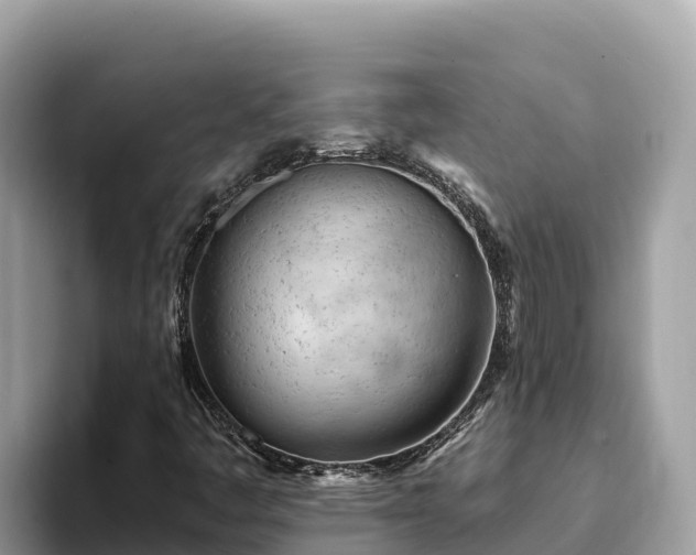 X0000093421445200710190956