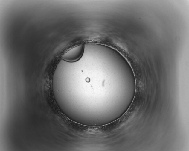 X0000093421447200710190956