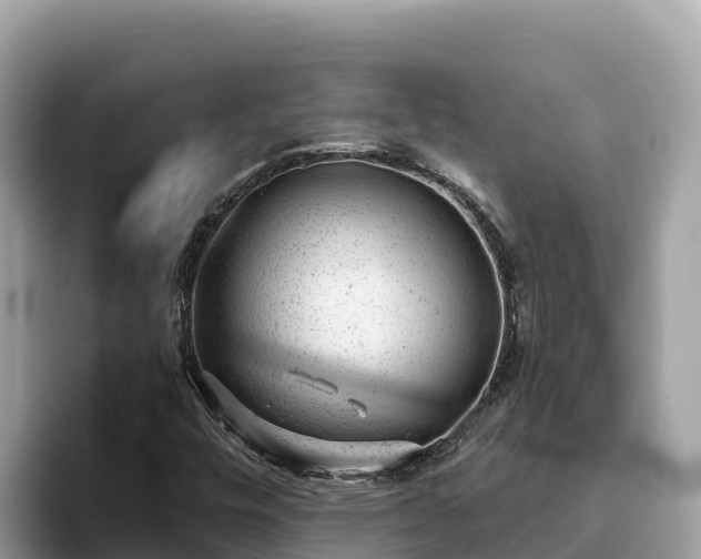 X0000093421448200710190956