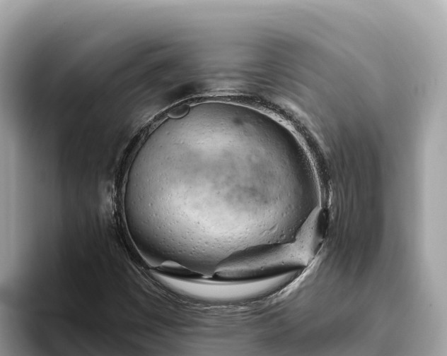 X0000093421449200710190956