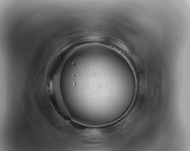 X0000093421450200710190956