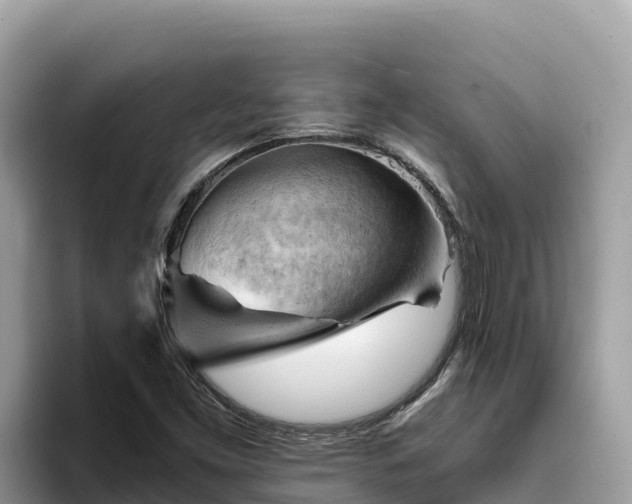 X0000093421453200710190956