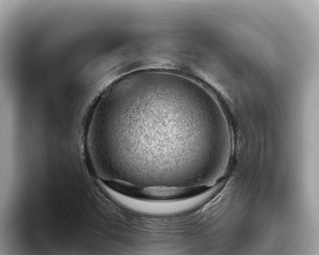 X0000093421455200710190955
