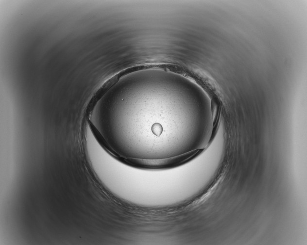 X0000093421457200710190955