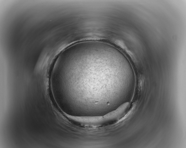 X0000093421459200710190955