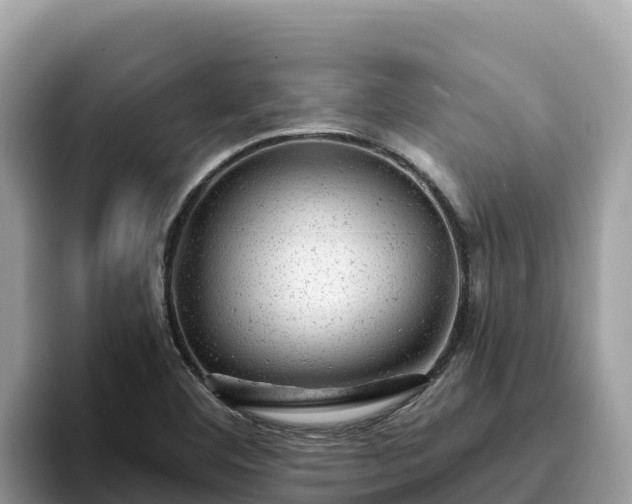 X0000093421460200710190955