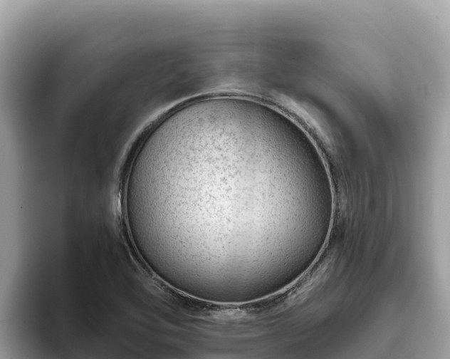 X0000093421462200710190955