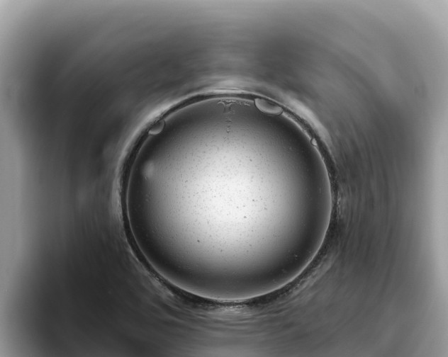 X0000093421464200710190955