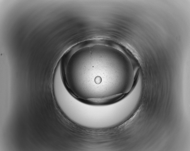 X0000093421465200710190955