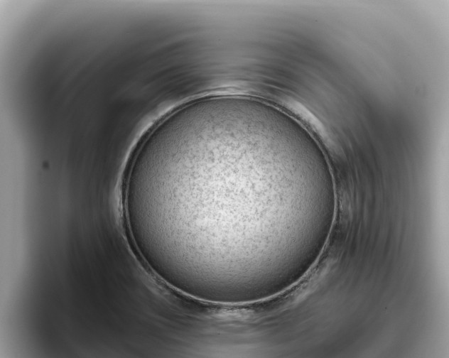 X0000093421466200710190955
