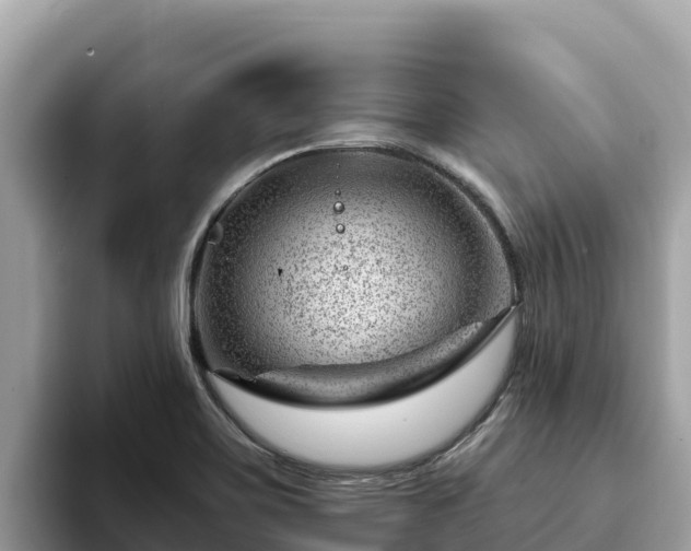 X0000093421467200710190955