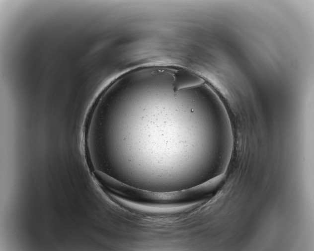 X0000093421468200710190955