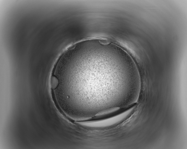 X0000093421471200710190955