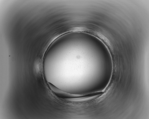 X0000093421473200710190955