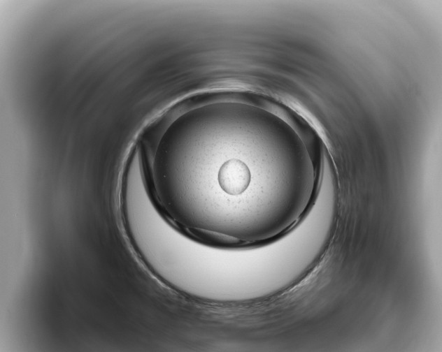 X0000093421477200710190955