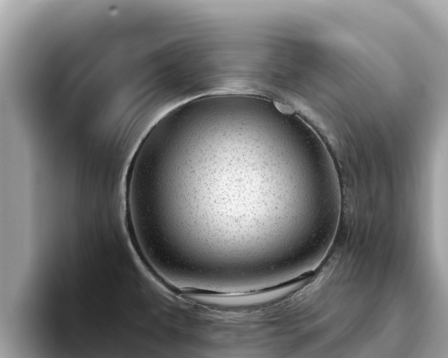 X0000093421479200710190955