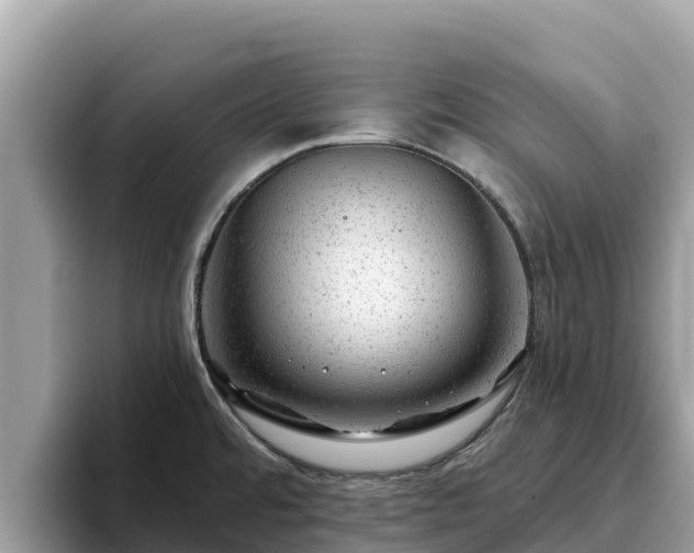 X0000093421480200710190955