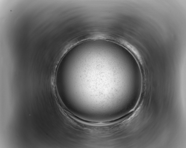 X0000093421481200710190955