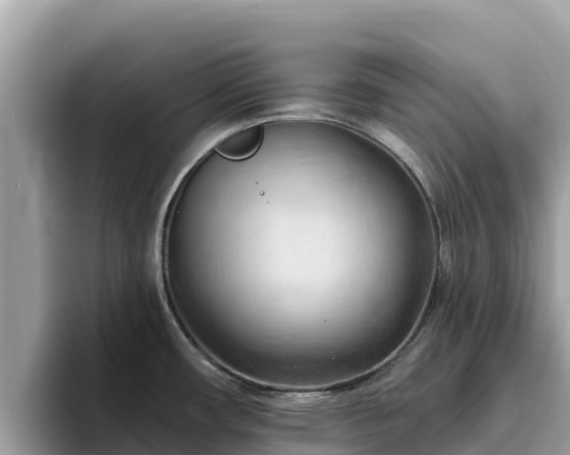 X0000093421482200710190955