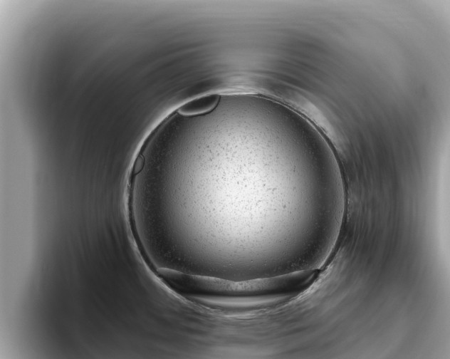 X0000093421484200710190955