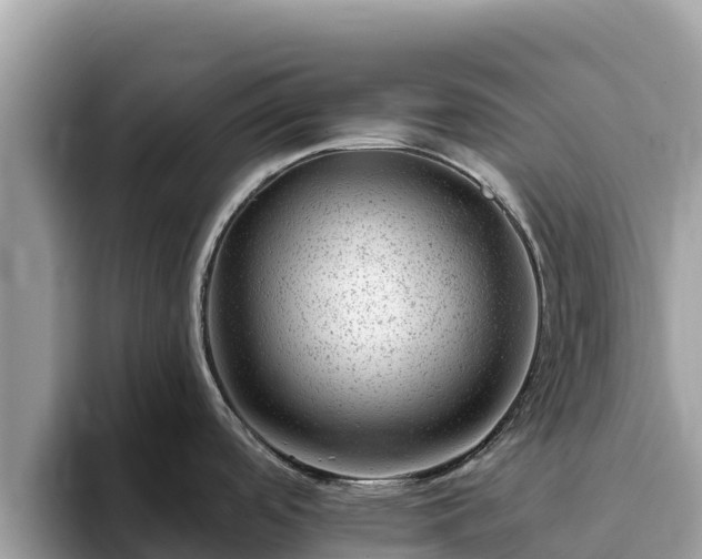 X0000093421488200710190955