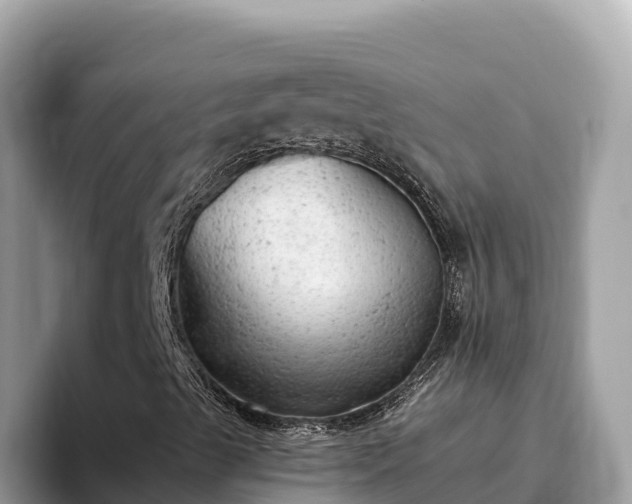 X0000093421489200710190954