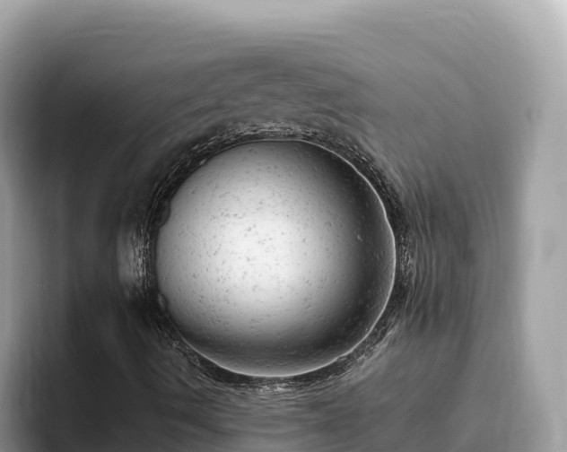 X0000093421490200710190954