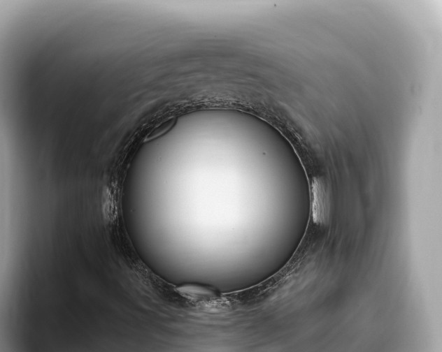 X0000093421491200710190954