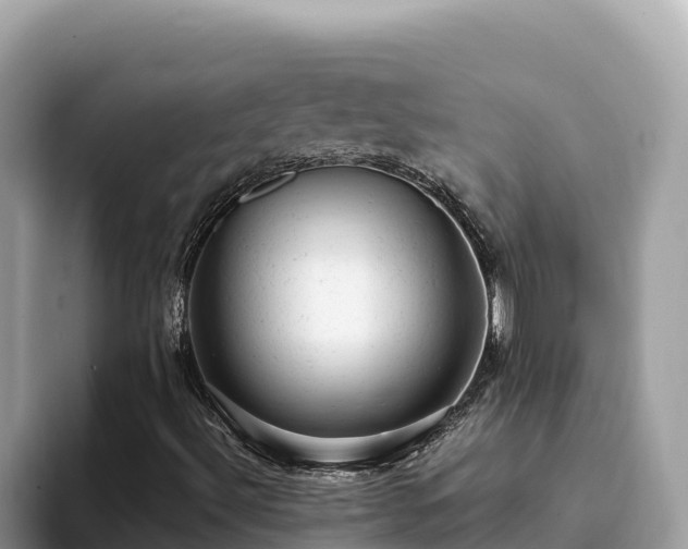 X0000093421492200710190954