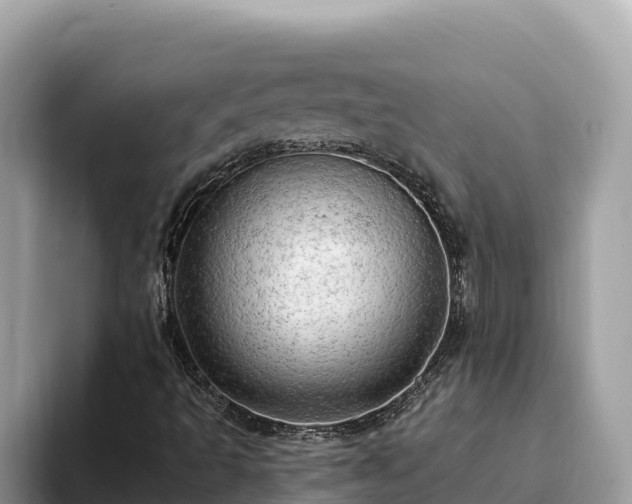X0000093421493200710190954