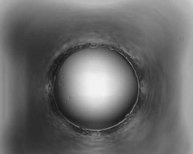 X0000093421495200710190954