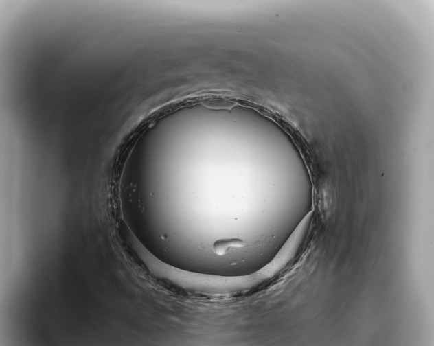 X0000093421496200710190955