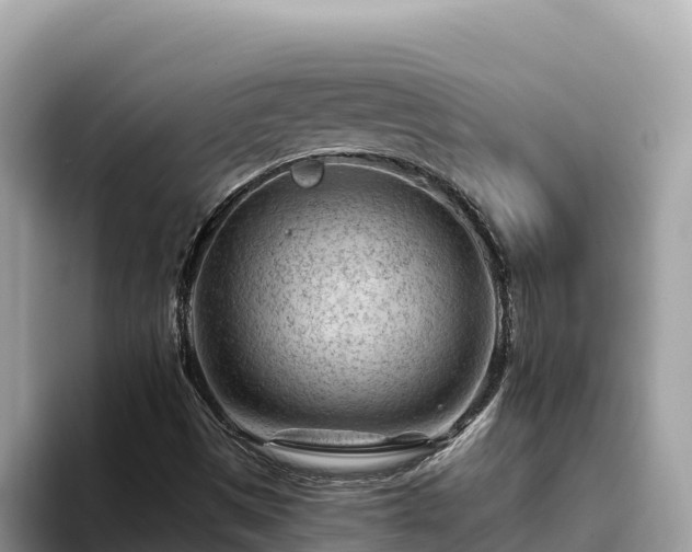 X0000093421497200710190955