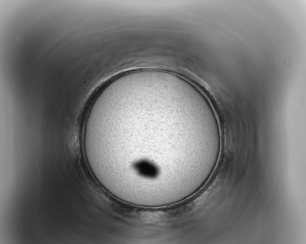 X0000093421498200710190955