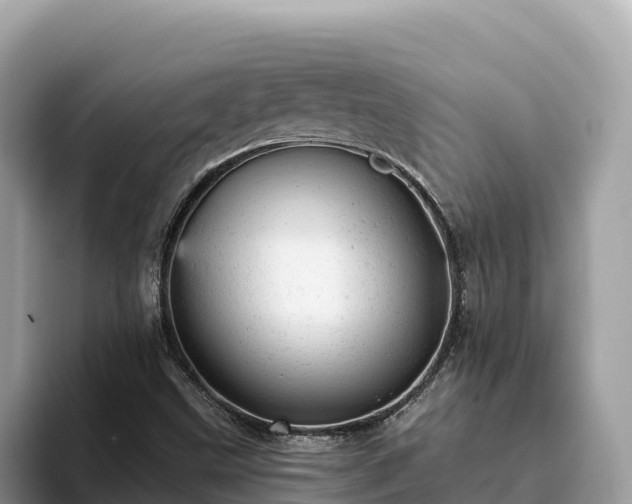 X0000093421499200710190955