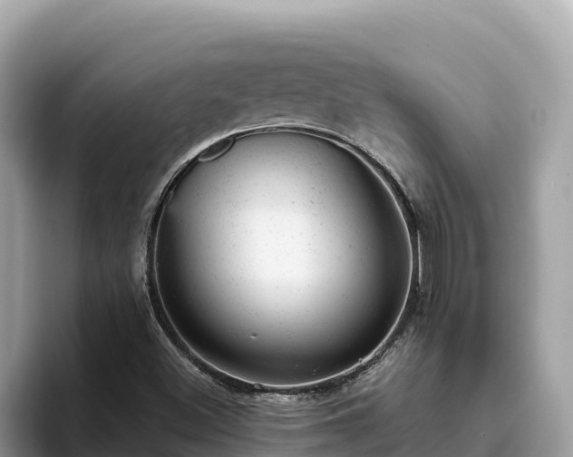 X0000093421500200710190955