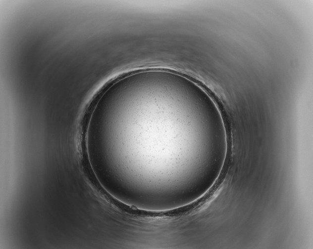 X0000093421502200710190955