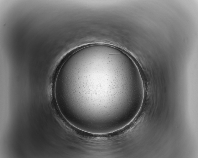 X0000093421503200710190955